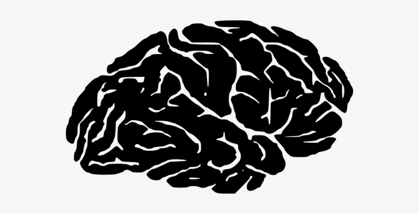 Brain Cranium Head Psychology Silhouette S - Silhouette Brain, transparent png download