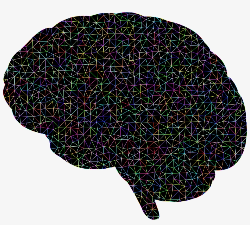 Human Brain Neuron Organ Visual Perception - Portable Network Graphics, transparent png download