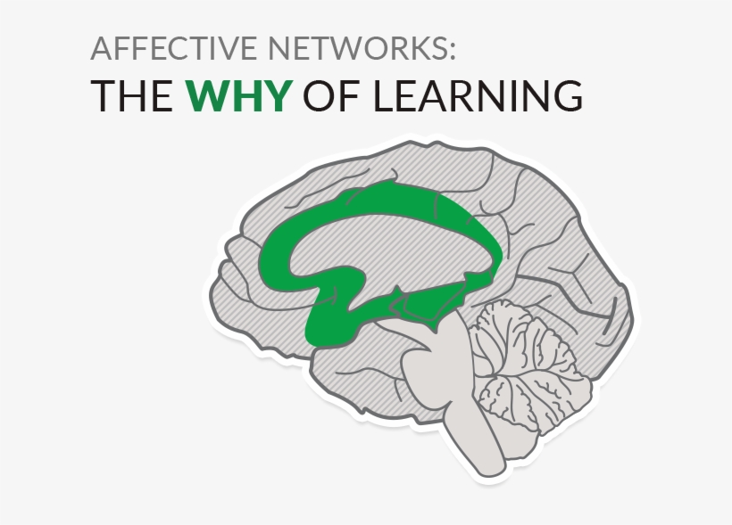 Engagement - Udl Engagement, transparent png download