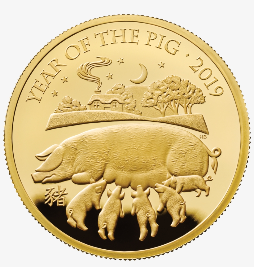 Commemorative Coins For Lunar Year Of The Pig Struck - Year Of The Pig Coin, transparent png download
