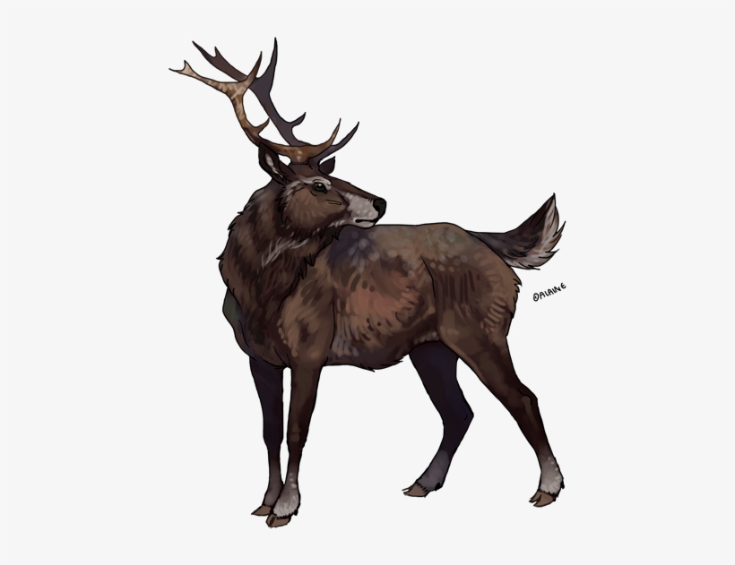 Originally Caught And Trained By Reykr Helsi While - Cat, transparent png download