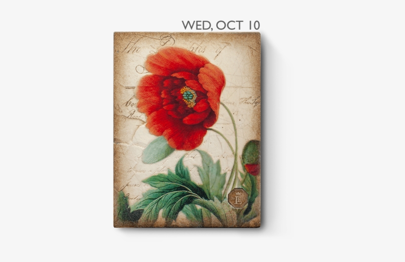 Le18-16 - Le18, transparent png download