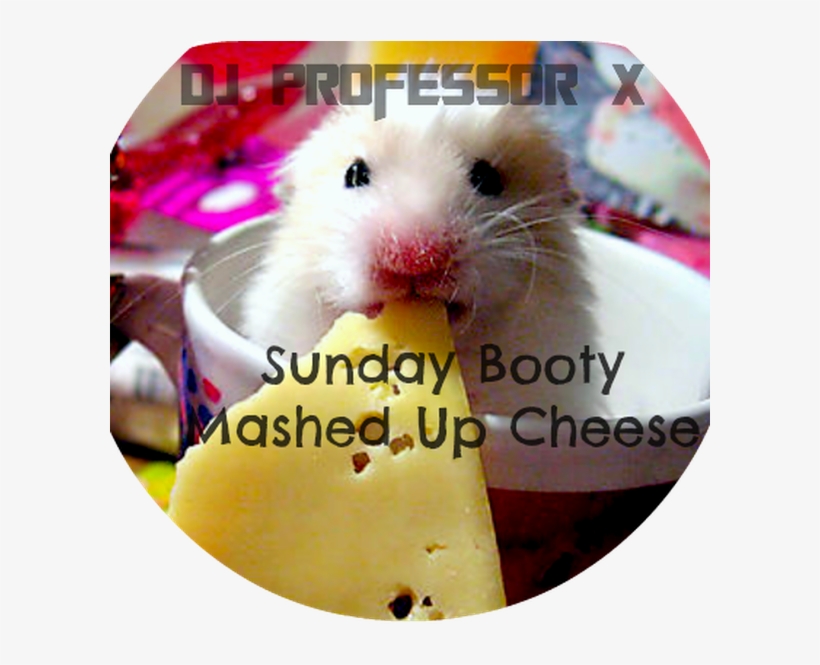 Nom Nom Nom Cheese, transparent png download