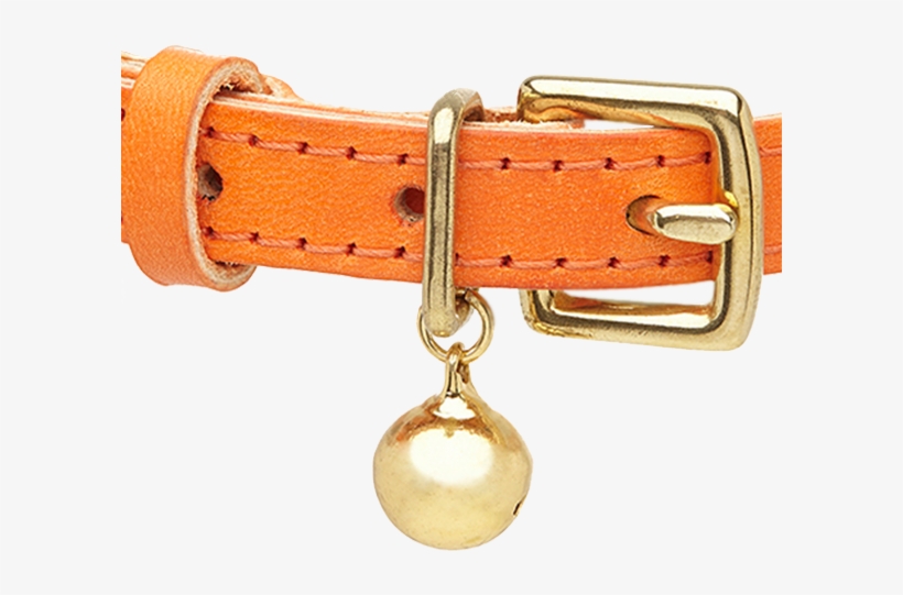 Tempesti Leather Cat Collar Orange C, transparent png download
