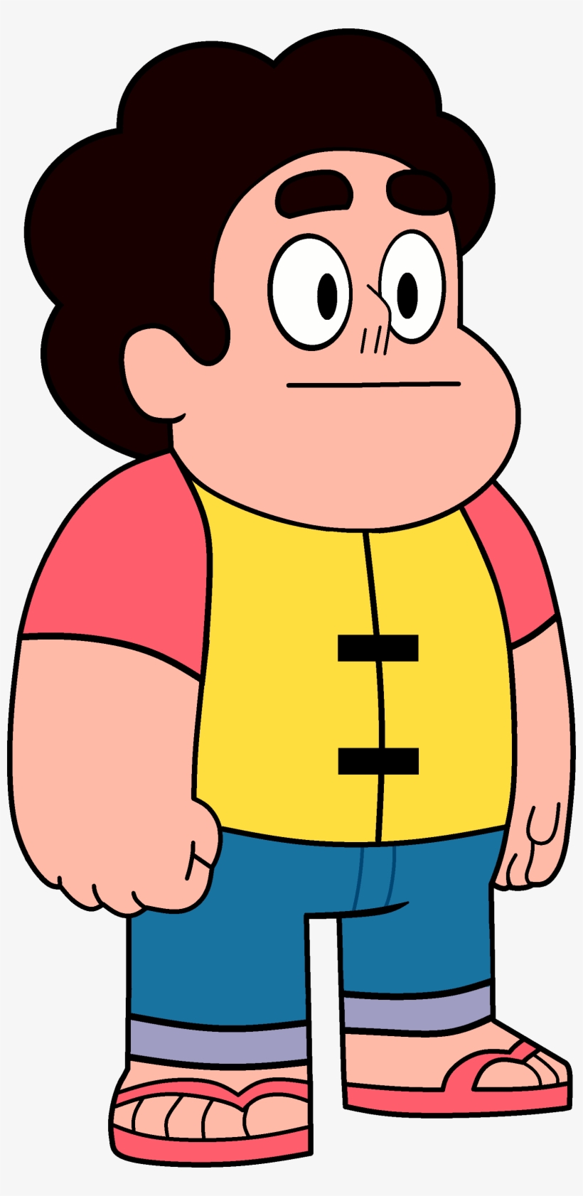 Life Jacket - Garnet Shapeshifted Into Steven, transparent png download