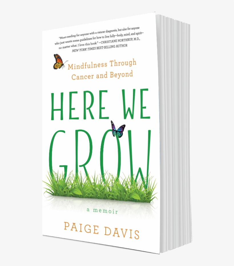 Aired On Monday, April 16th - Here We Grow: Mindfulness Through The Big C And Beyond, transparent png download
