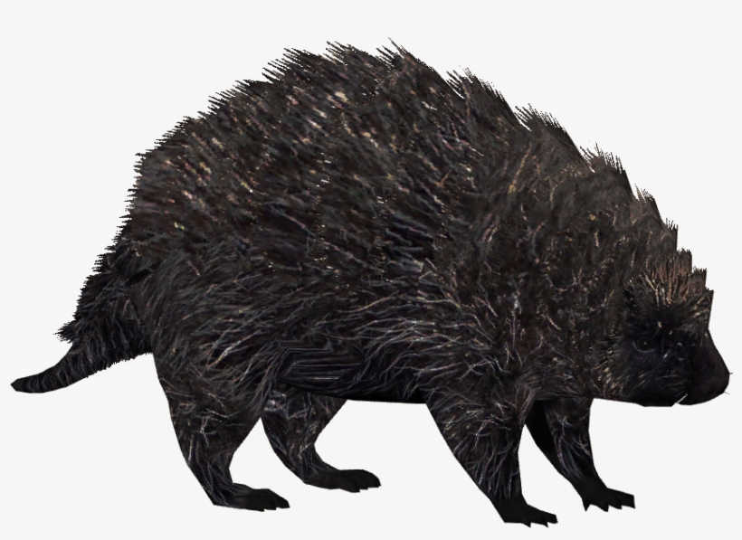 North American Porcupine 3 - North American Porcupine Figure, transparent png download