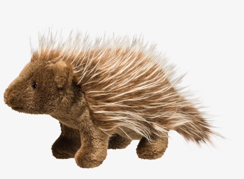 Douglas Percy Porcupine - Percy Porcupine, transparent png download
