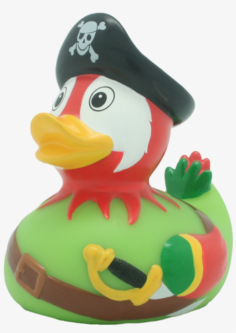 Pirate Parrot Png - Parrot Duck, transparent png download