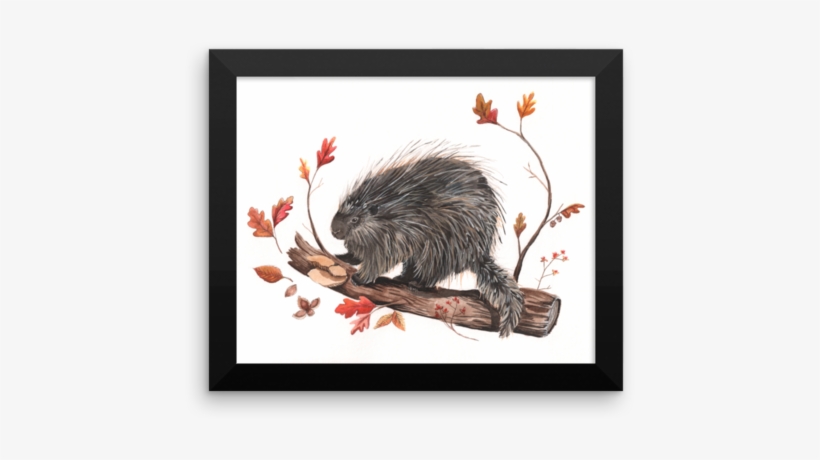 Porcupine Print - Beaver, transparent png download