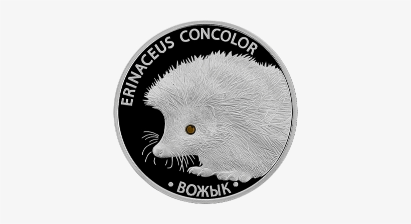 By 2011 20roubles Hedgehog B - Монета Вожык, transparent png download
