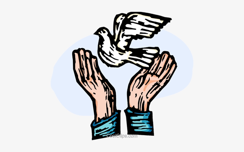 Hands Releasing A Peace Dove Royalty Free Vector Clip - Freeing Clipart, transparent png download