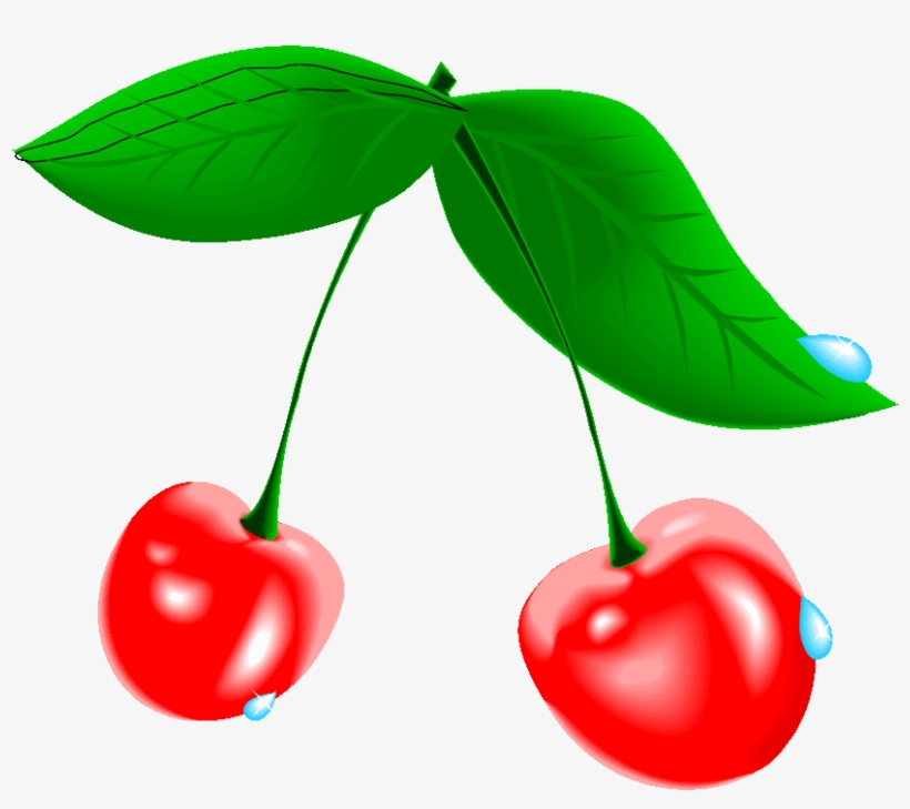 Cherry Tree Clipart At Getdrawings - Cherry, transparent png download