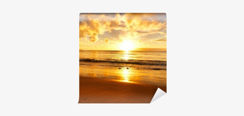 Sunset, transparent png download