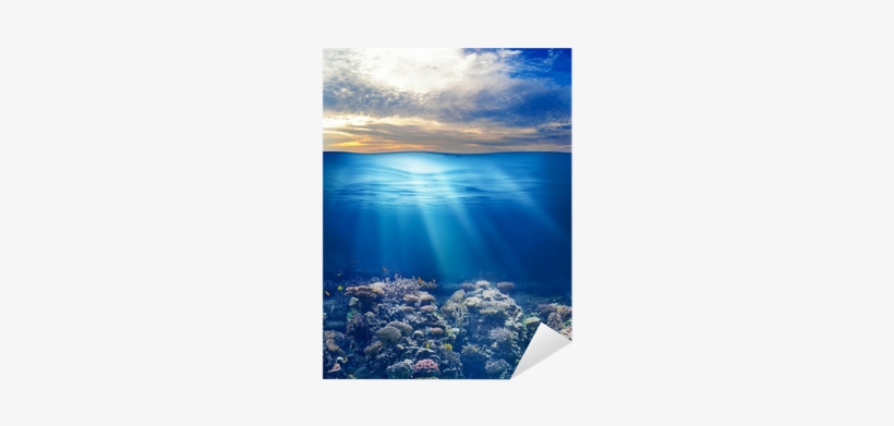 Sea Or Ocean Underwater Life With Sunset Sky Sticker - Poetry On Moral Values, transparent png download