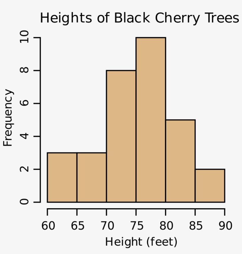 Black Cherry Tree Histogram - Histogram Cherry Trees, transparent png download