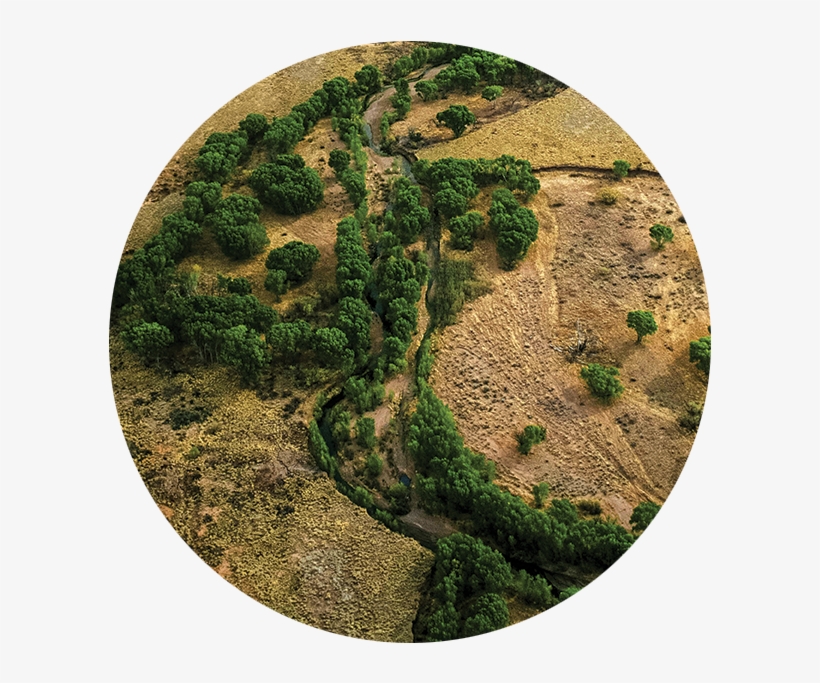 Desert Rivers Program - Circle, transparent png download