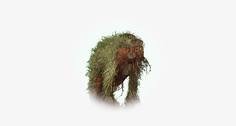 Young Tree Spirit - Tree Spirit Bdo, transparent png download