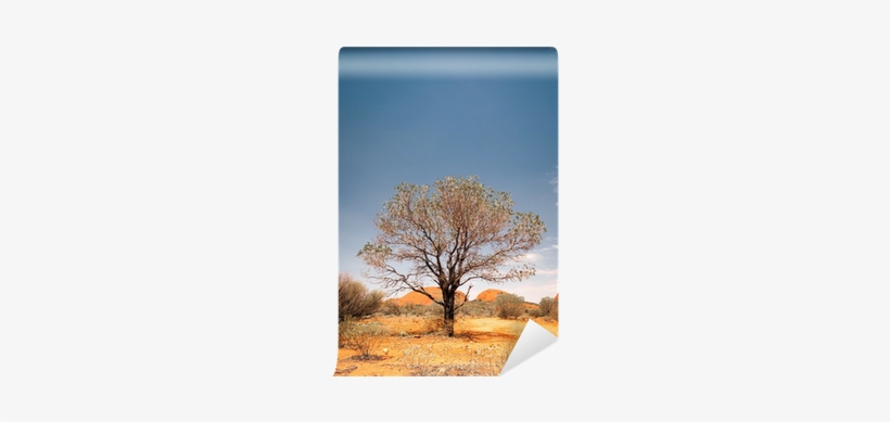 Deserts Of Australia, transparent png download
