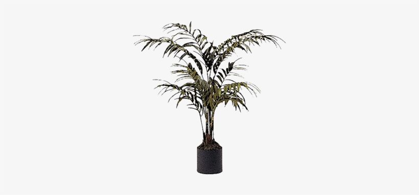 Silk Palm Tree In Container - Brook Furniture Rental, transparent png download