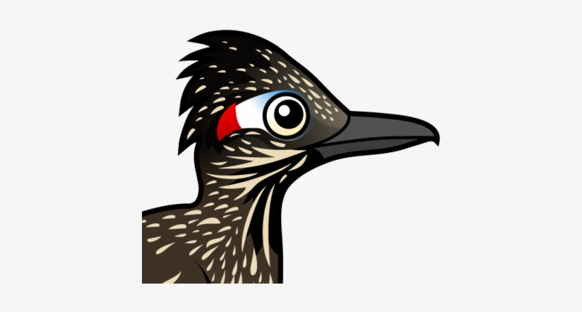 About The Greater Roadrunner - Birdorable Roadrunner, transparent png download
