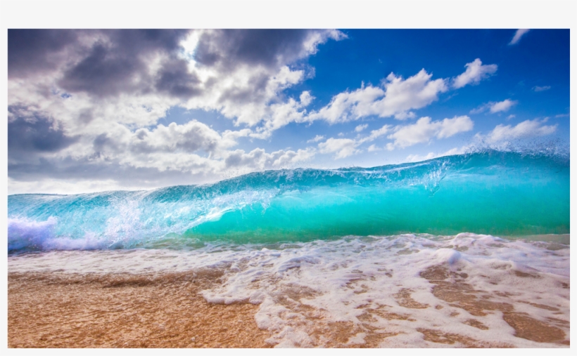 Score 50%, transparent png download