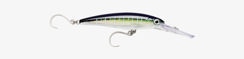 X-rap Magnum Single Hook - Rapala X-rap Saltwater Subwalk Lure, transparent png download