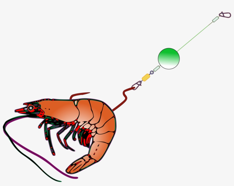 Fishing Baits & Lures Bait Fish Fish Hook - Bait Png, transparent png download