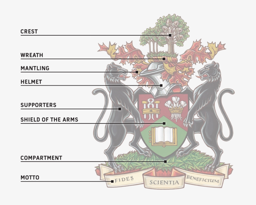 A Grant Of Supporters Is Limited To Corporate Bodies - Prince Edward Island Crest, transparent png download