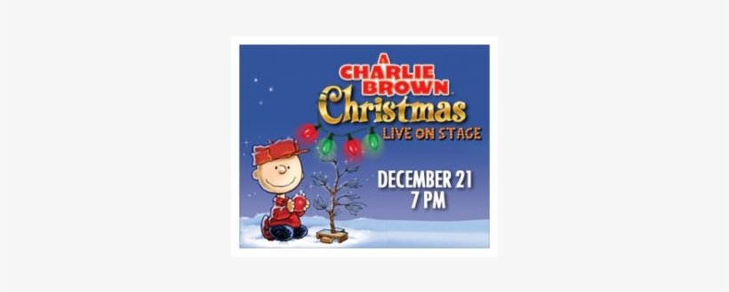 Lakeland, Fl Join Charlie Brown, Snoopy, Lucy, Linus - Hardcover: Peanuts: A Charlie Brown Christmas By Charles, transparent png download