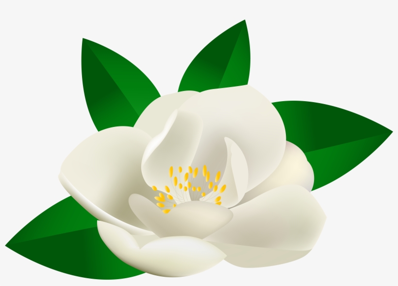 Rose Bush Flower Transparent Clip Art Image U200b Gallery - Clip Art, transparent png download