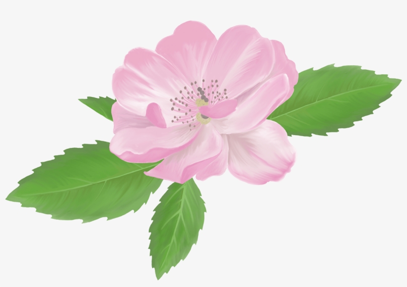 1 - Illustration, transparent png download