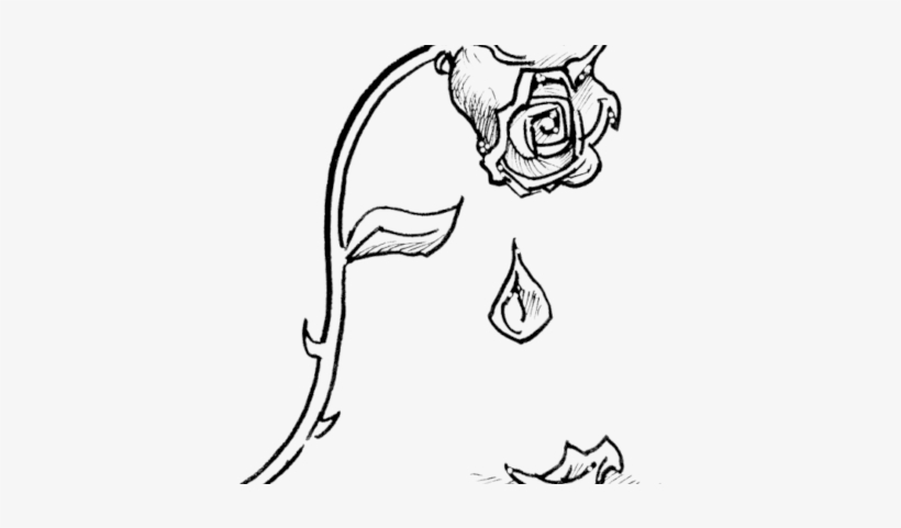 Beauty And The Beast 2017 Dark - Portable Network Graphics, transparent png download