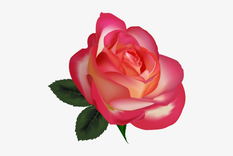 Beautiful Rose Png Clipart Image The Best Png Clipart - Rosas O Flores Png, transparent png download