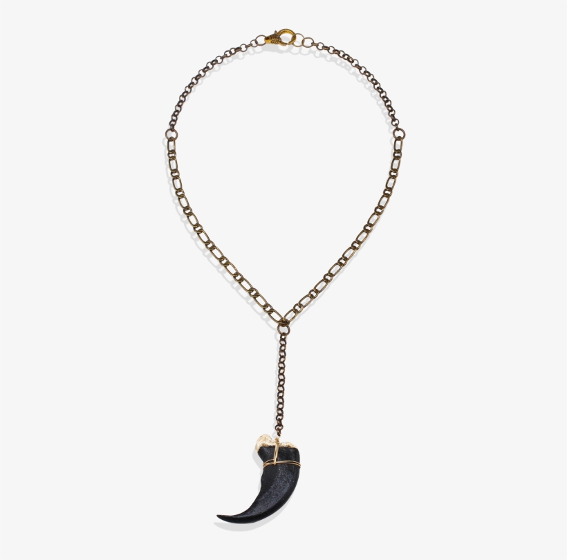 Black Bear Claw Necklace - Necklace, transparent png download