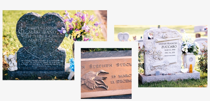 Homepage Hero 2 - Portable Network Graphics, transparent png download