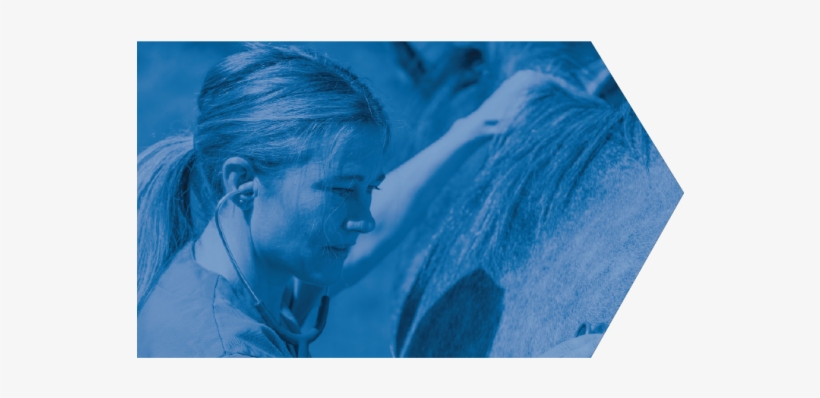 Wb Female Vet Blue Arrow - Visual Arts, transparent png download