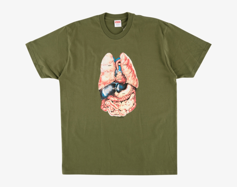 Supreme F W 18 Guts Tee, transparent png download