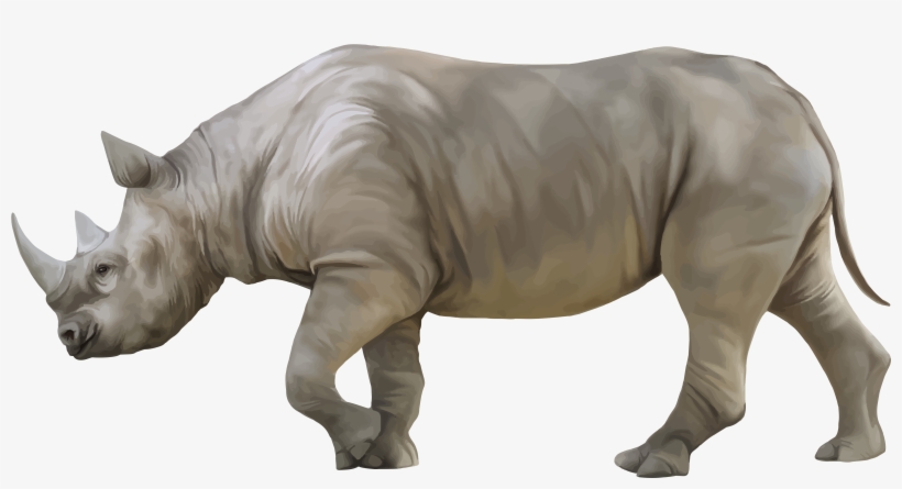 Rhino Png Clipart - Rhino Png, transparent png download
