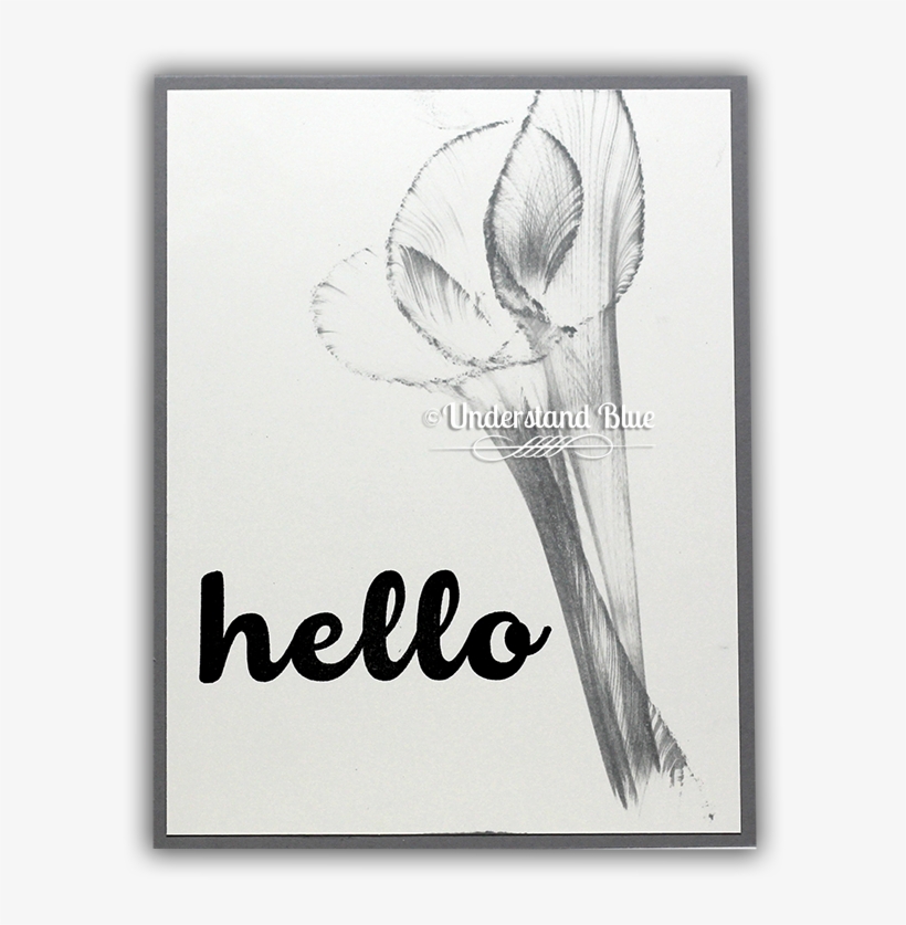 Abstract String Art Technique With Ink And Twine - Ophrys, transparent png download