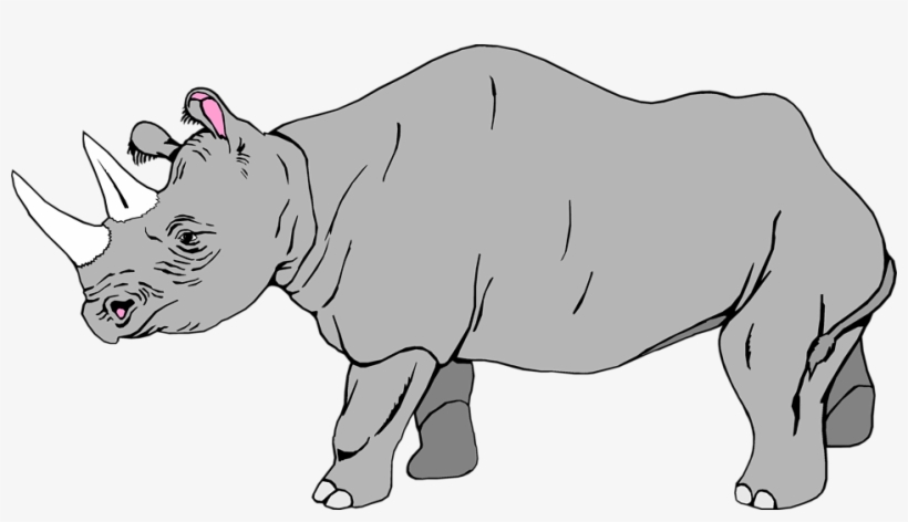Rhino Vector Transparent - Black And White Rhino Clipart, transparent png download