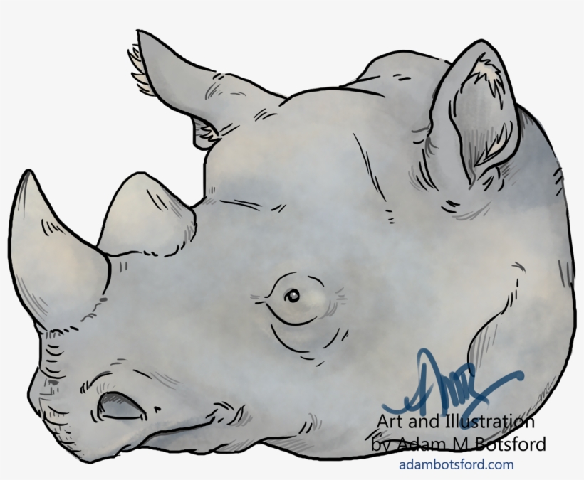This Rhino Is A Piece I Did For A Group Called Drinking - Artist, transparent png download