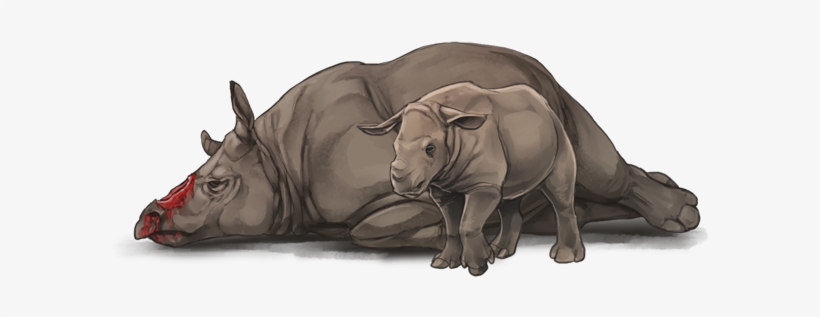 Babyrhinoday - Indian Rhinoceros, transparent png download