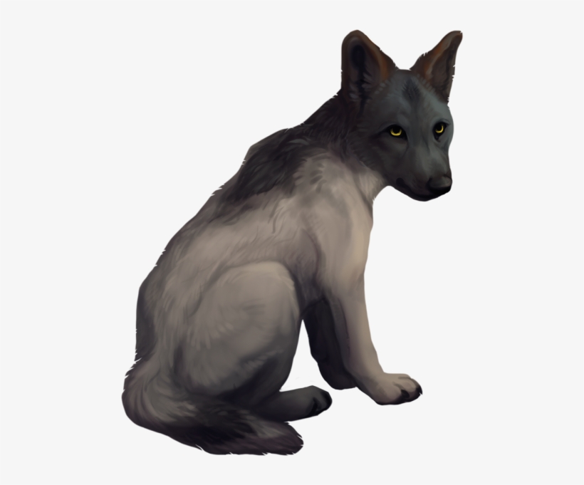 Slofozo ] - Oriental Shorthair, transparent png download