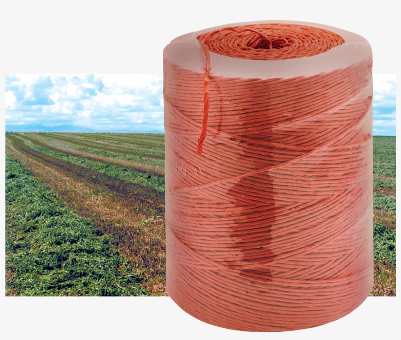 9600-170 Bridon Blk Gold Twine - Field, transparent png download
