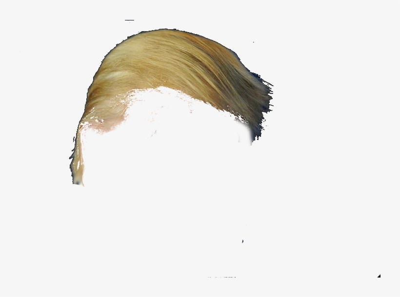 Sketch, transparent png download