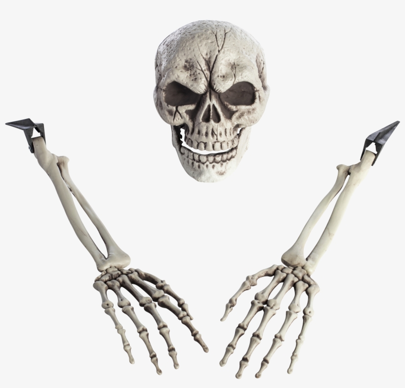 Skeleton Arm Png, transparent png download
