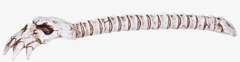 Backscratcher, transparent png download