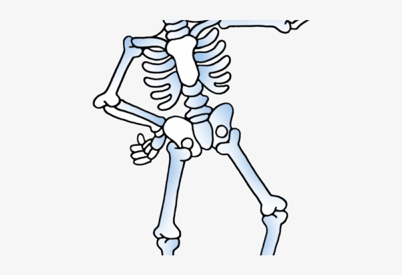 Skeleton Clipart Skelton - Skeleton Clipart, transparent png download