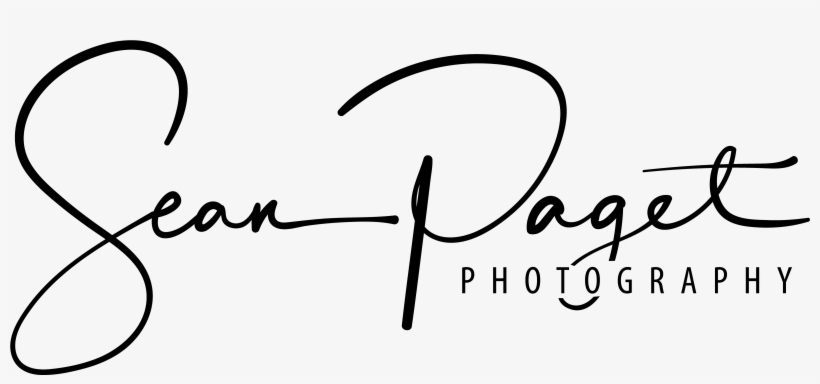 About - Calligraphy, transparent png download